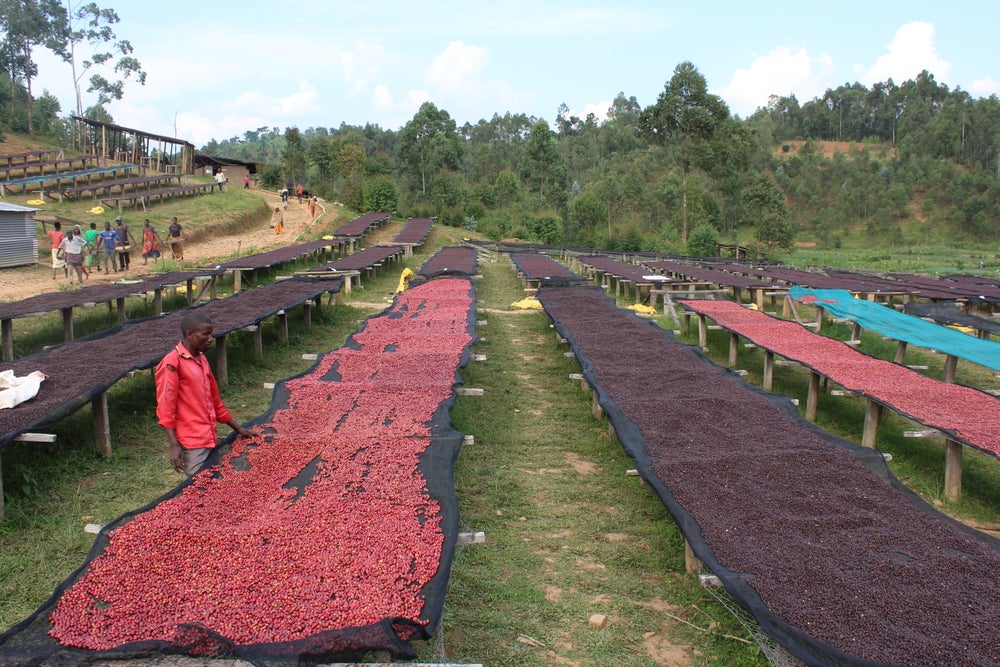 BURUNDI - NEMBA [OMNIROAST]