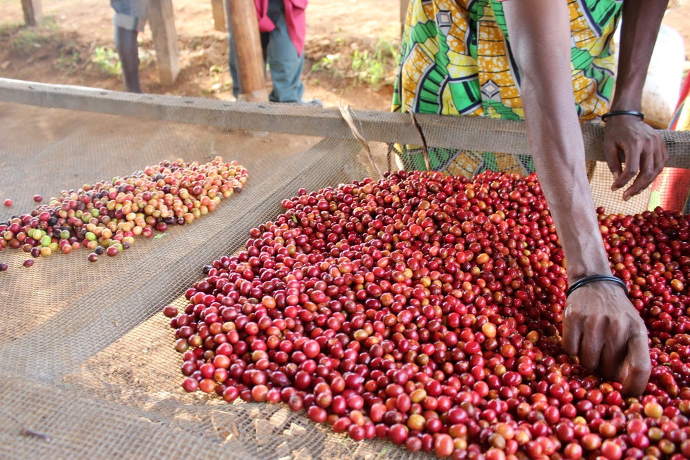BURUNDI - NEMBA [OMNIROAST]