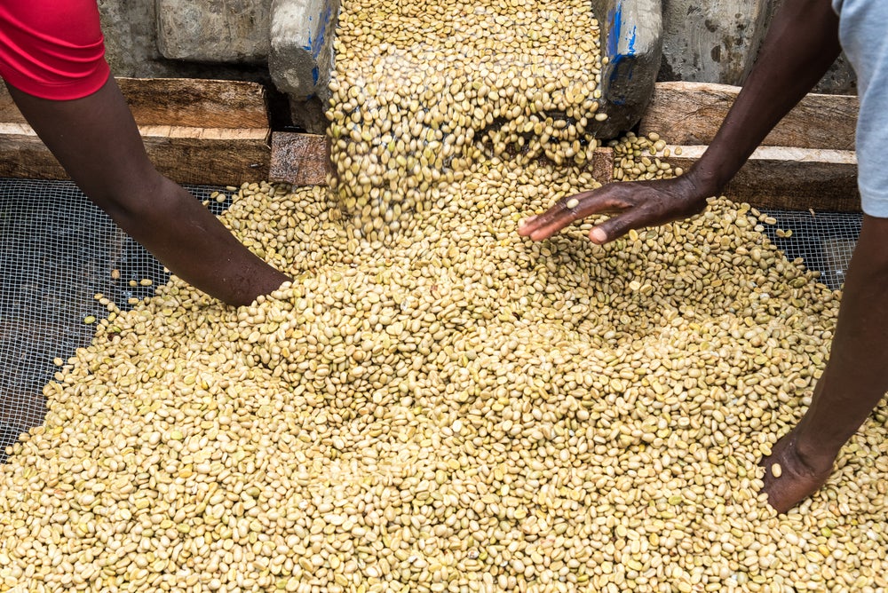 KENIA - KARATINA [FILTRO]