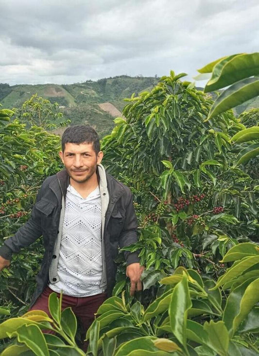 COLOMBIA - LA ESPERANZA GESHA (FILTRO)